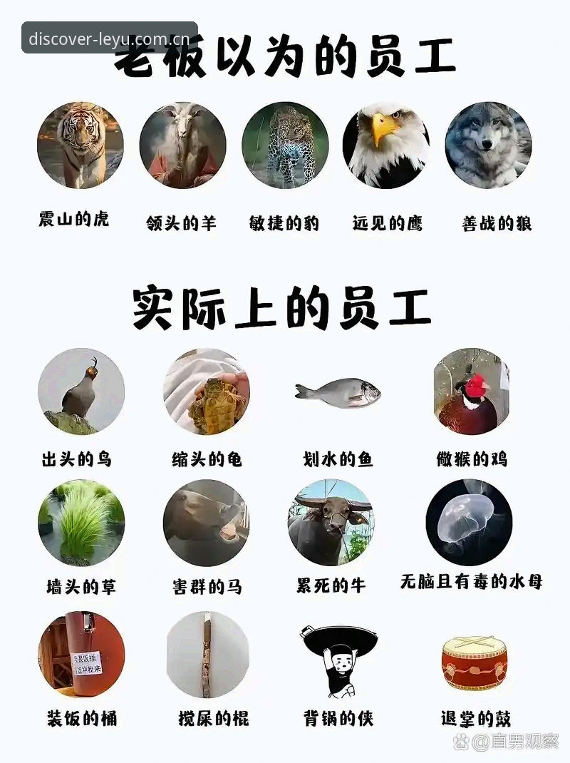 揭秘新乐鱼iOS安全真相：你以为的防护，可能全是漏洞